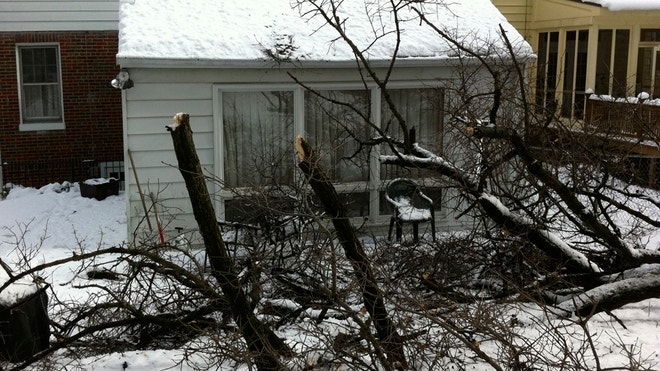 Homes Falling Trees_Gast.JPG